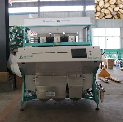 피칸 분류를 위한 높은 정밀도 IOT 씨 색깔 분류하는 사람 기계